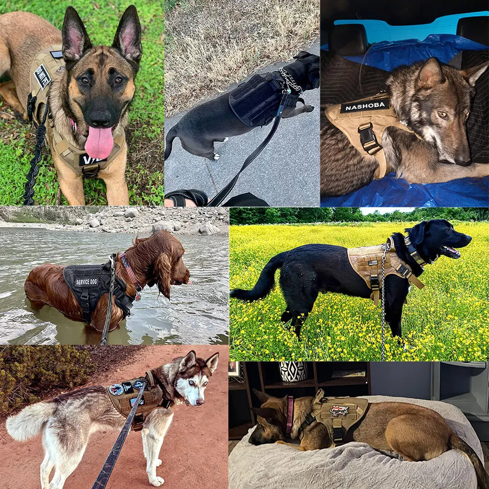 Large Dog Harness And Leash Set Pet German Shepherd Malinois Training