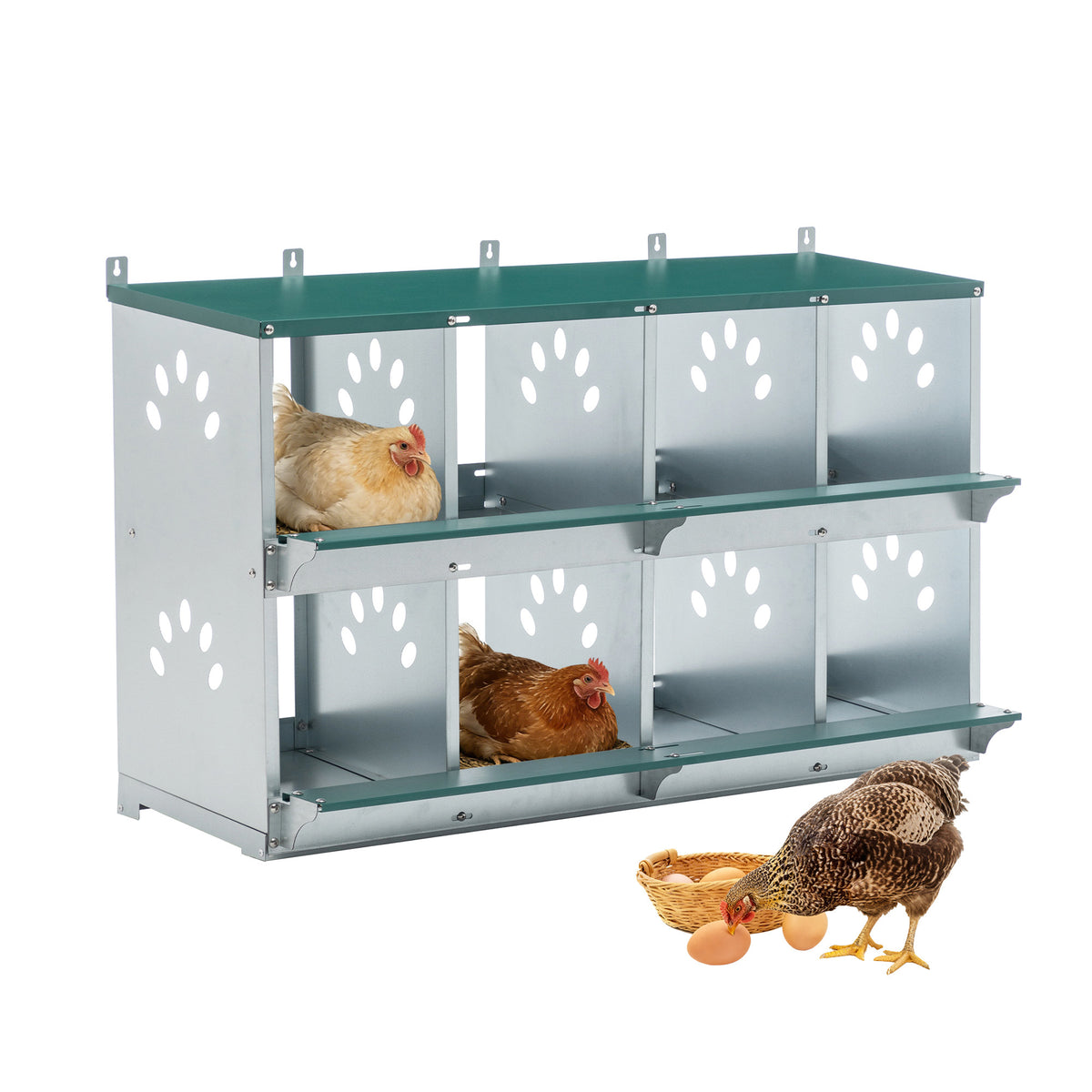 Chicken Nesting Box, 8 Compartment, Wall Mount