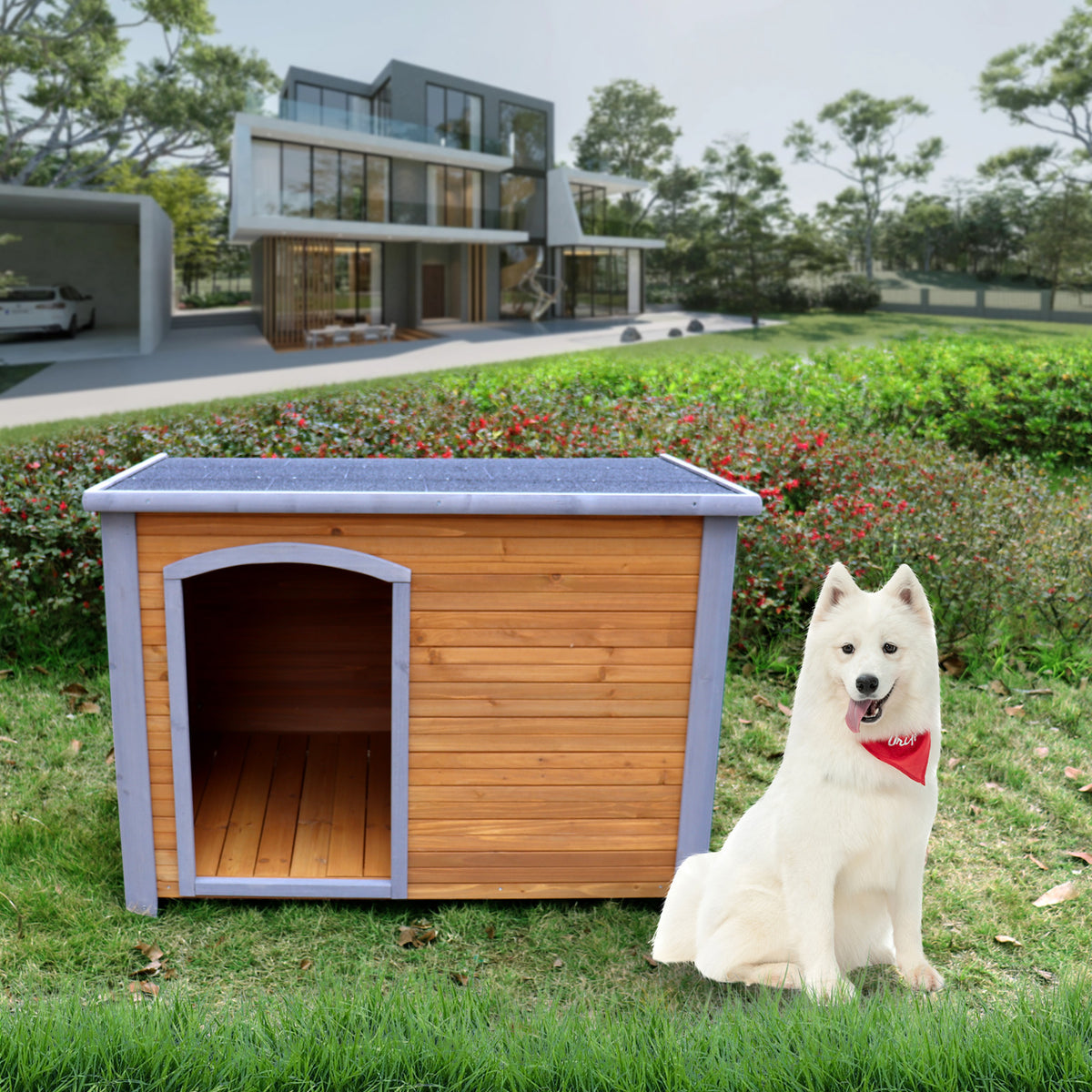 Wooden Dog House & Outdoor Kennel, Weatherproof